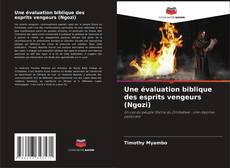 Couverture de Une évaluation biblique des esprits vengeurs (Ngozi)