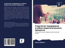 Стратегия поддержки учебно-педагогического процесса kitap kapağı