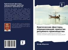 Buchcover von Критические факторы, определяющие принятие разумного производства