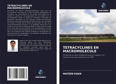 Bookcover of TETRACYCLINES EN MACROMOLECULE