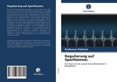 Couverture de Regulierung auf Sparflamme: