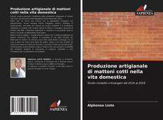 Produzione artigianale di mattoni cotti nella vita domestica kitap kapağı