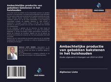 Bookcover of Ambachtelijke productie van gebakken bakstenen in het huishouden