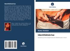 Capa do livro de Identitätskrise 