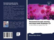 Обложка Экономический анализ последствий Ковида-19