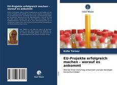 Bookcover of EU-Projekte erfolgreich machen - worauf es ankommt