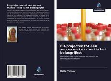 Bookcover of EU-projecten tot een succes maken - wat is het belangrijkst