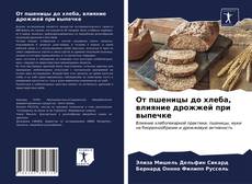 Обложка От пшеницы до хлеба, влияние дрожжей при выпечке