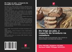 Portada del libro de Do trigo ao pão, o impacto da levedura na cozedura