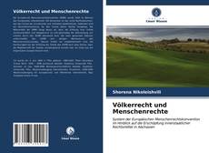 Völkerrecht und Menschenrechte kitap kapağı