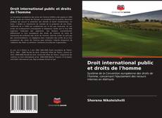 Capa do livro de Droit international public et droits de l'homme 