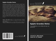 Обложка Egipto Grandes Retos