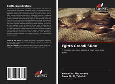 Capa do livro de Egitto Grandi Sfide 