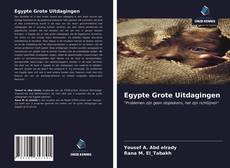 Bookcover of Egypte Grote Uitdagingen