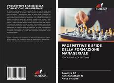 PROSPETTIVE E SFIDE DELLA FORMAZIONE MANAGERIALE kitap kapağı