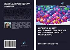 Bookcover of INCLUSIE IN HET ONDERWIJS: EEN BLIK OP DE DYNAMIEK VAN DE UITVOERING