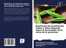 Couverture de Bioeficacia de Azadirachta Indica y Vitex Negundo sobre el barrenador de la vaina de la gramínea