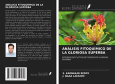 Capa do livro de ANÁLISIS FITOQUÍMICO DE LA GLORIOSA SUPERBA 