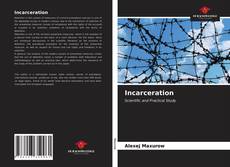 Buchcover von Incarceration