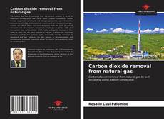 Carbon dioxide removal from natural gas的封面