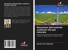 Bookcover of Rimozione dell'anidride carbonica dal gas naturale
