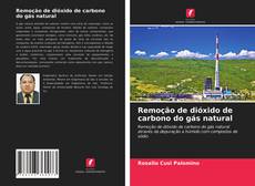 Copertina di Remoção de dióxido de carbono do gás natural