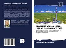 Capa do livro de удаление углекислого газа из природного газа 