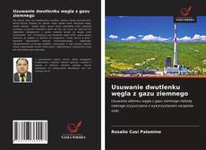 Buchcover von Usuwanie dwutlenku węgla z gazu ziemnego
