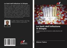 Buchcover von Le fonti dell'inflazione in Etiopia