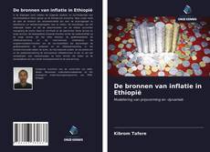 Buchcover von De bronnen van inflatie in Ethiopië