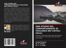 Copertina di UNO STUDIO DEL COMPORTAMENTO DI VIGILANZA DEI CHITALI (Asse)