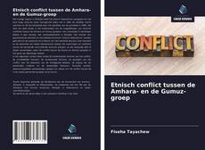 Portada del libro de Etnisch conflict tussen de Amhara- en de Gumuz-groep