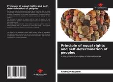 Buchcover von Principle of equal rights and self-determination of peoples