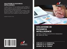 Bookcover of SOLUZIONE DI BUSINESS INTELLIGENCE