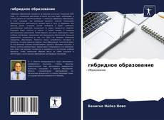 Bookcover of гибридное образование