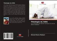 Théologie du SIDA的封面