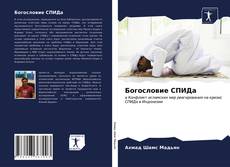 Bookcover of Богословие СПИДа