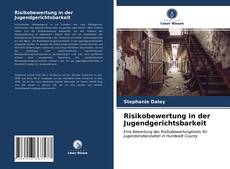 Обложка Risikobewertung in der Jugendgerichtsbarkeit