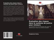 Bookcover of Évaluation des risques dans le système de justice pour mineurs