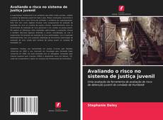 Capa do livro de Avaliando o risco no sistema de justiça juvenil 