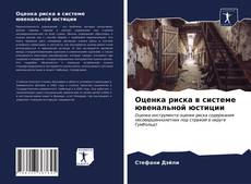 Bookcover of Оценка риска в системе ювенальной юстиции