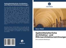 Copertina di Spätmittelalterliche Architektur- und Mikroarchitekturzeichnungen