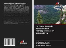 La rotta Poonch-Rawalakot in retrospettiva e in prospettiva的封面