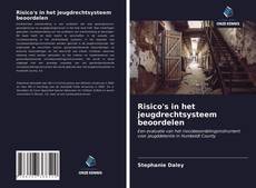 Bookcover of Risico's in het jeugdrechtsysteem beoordelen