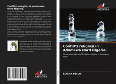 Conflitti religiosi in Adamawa Nord Nigeria.的封面