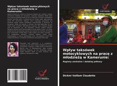 Buchcover von Wpływ taksówek motocyklowych na pracę z młodzieżą w Kamerunie: