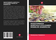 Buchcover von INVESTIMENTO AGRÍCOLA UTILIZANDO MODELOS DINÂMICOS