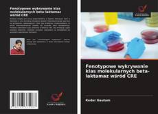 Couverture de Fenotypowe wykrywanie klas molekularnych beta-laktamaz wśród CRE