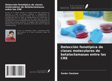 Copertina di Detección fenotípica de clases moleculares de betalactamasas entre las CRE