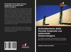 Copertina di Actinobacteria dalla foresta tropicale con potenziale biotecnologico